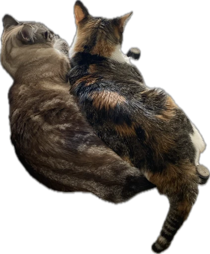 Gema y Elvira